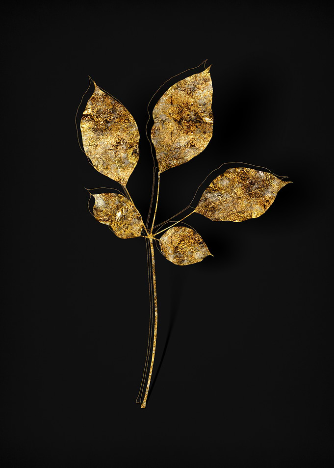 Gold Flora on Black