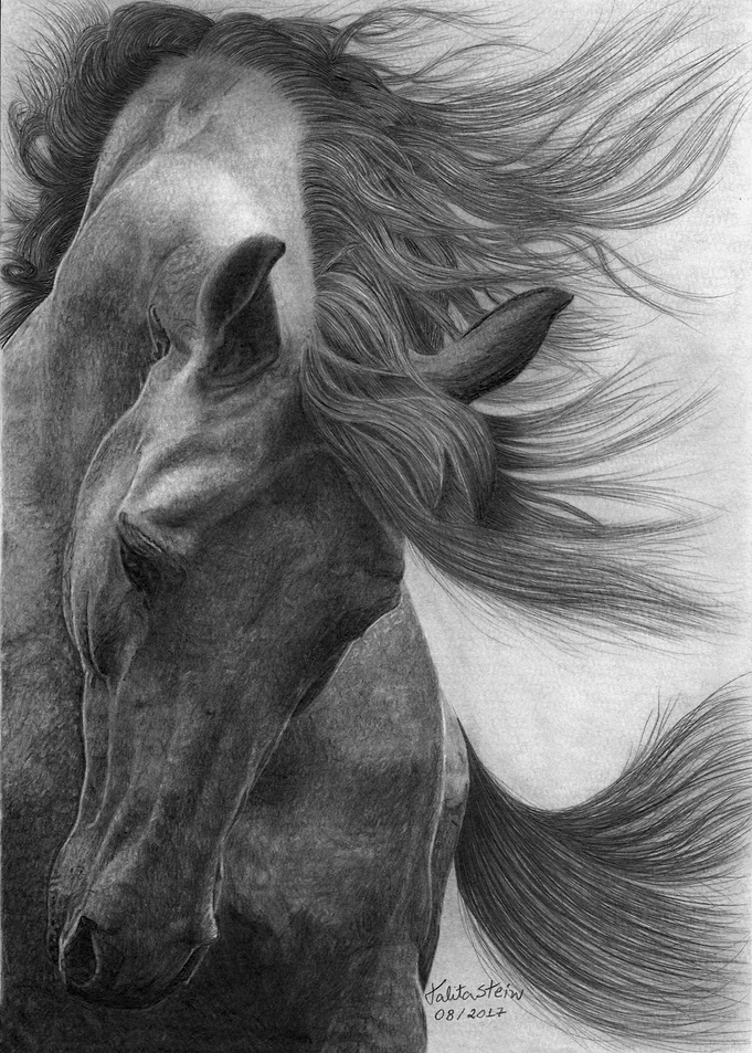 Arabians II