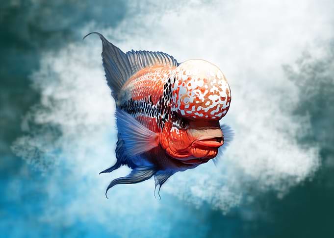 Flowerhorn