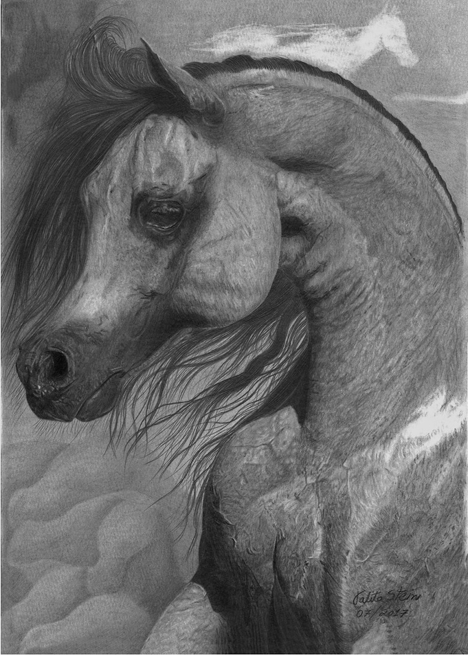Arabians