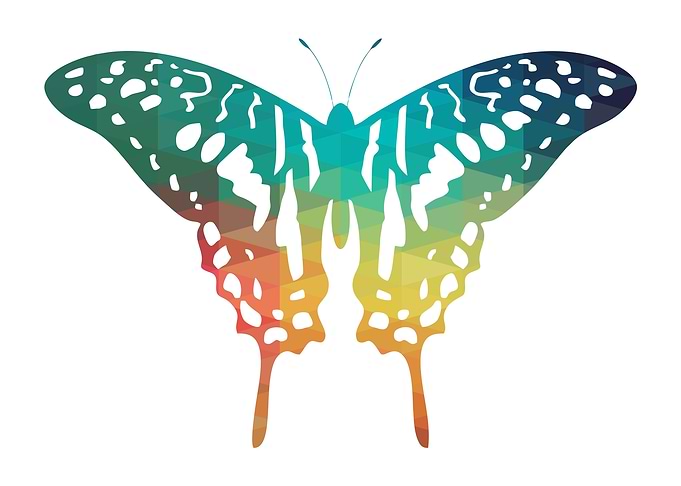Rainbow Butterfly