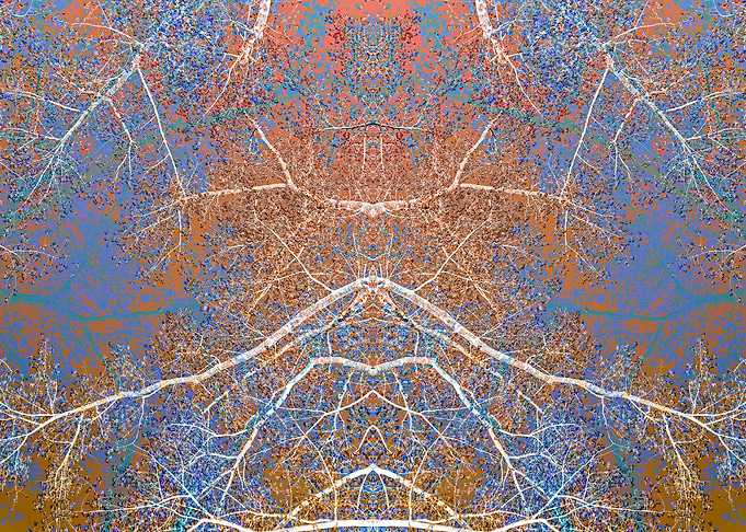 Spring forest 8