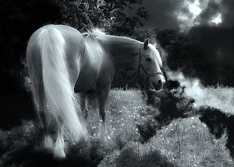 White Horse