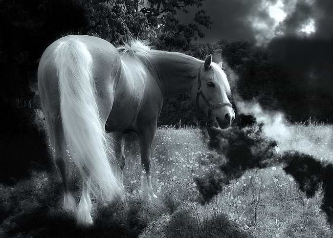 White Horse