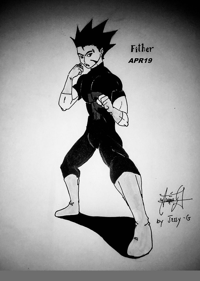 Hero Fighter