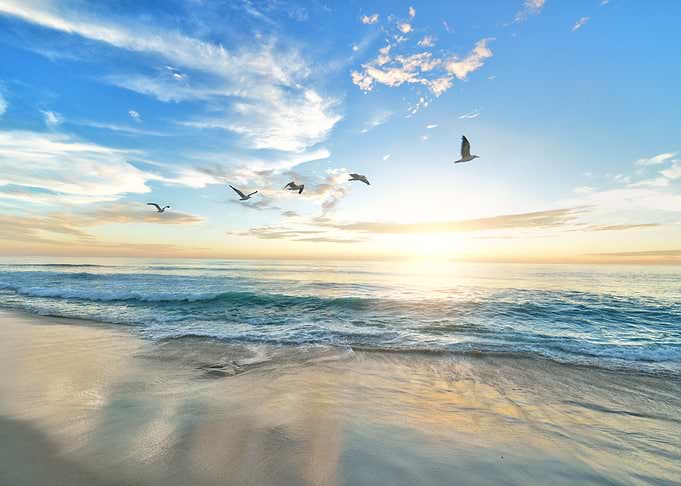 Dawn Sunrise