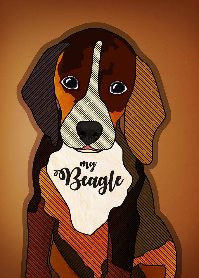 My Beagle