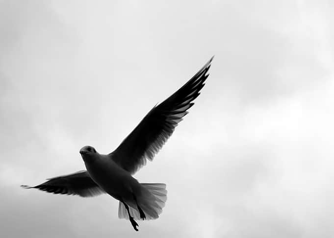 Over the sea
