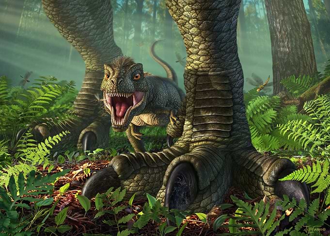 Wee Rex