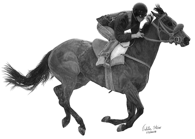 Race horse III