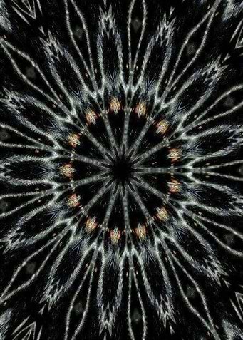 Native Blackstar
