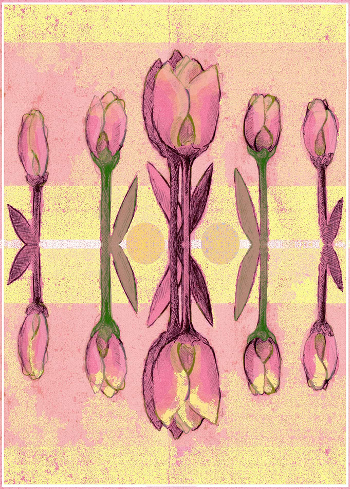 Yellow Tulips