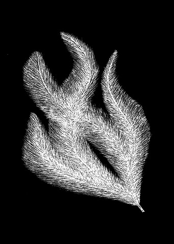 Fluffy Feathers