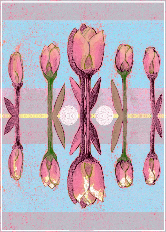 Blue Tulips