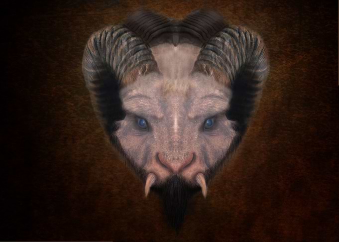 FAUN