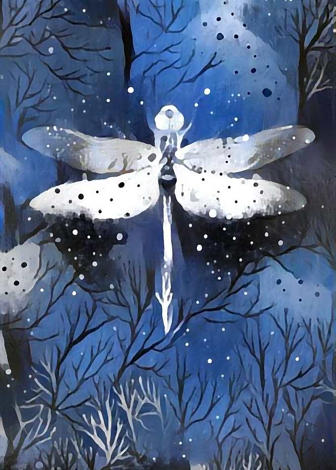 WINTER - NOCTURNE