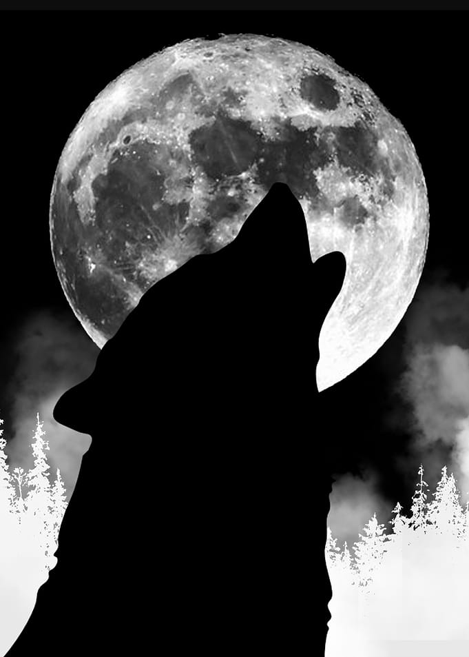 Wolf Moon Black and White