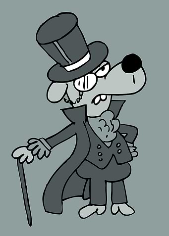 dog