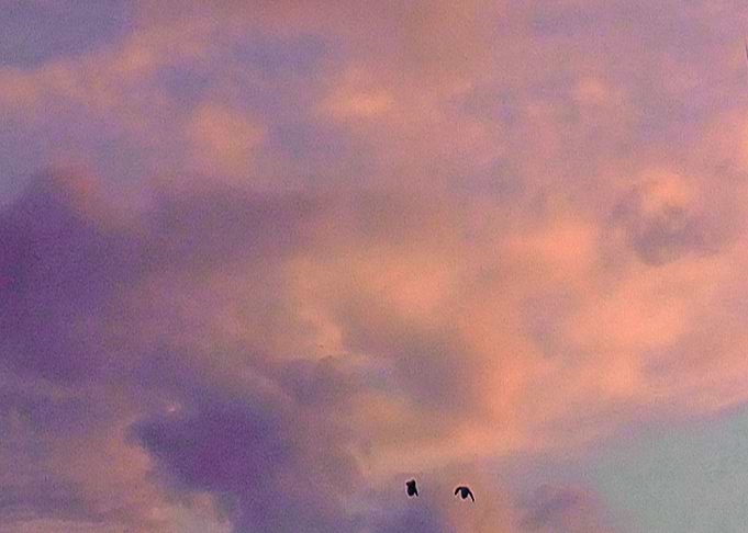 The Sky