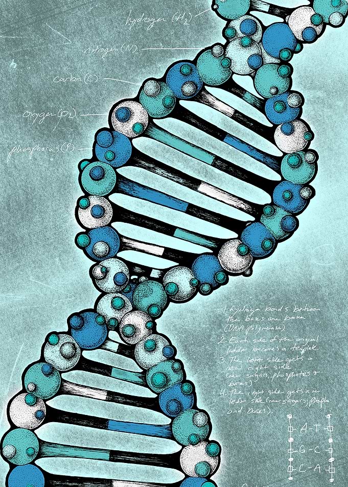 Double Helix illustration