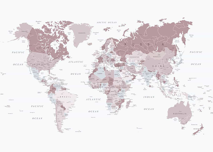 World Map in Pink and Grey