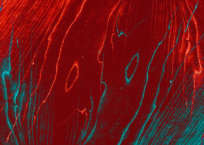 Red and blue wave abstract