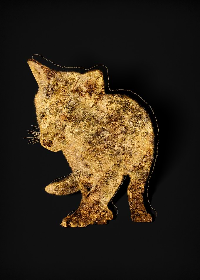 Gold Fauna On Black