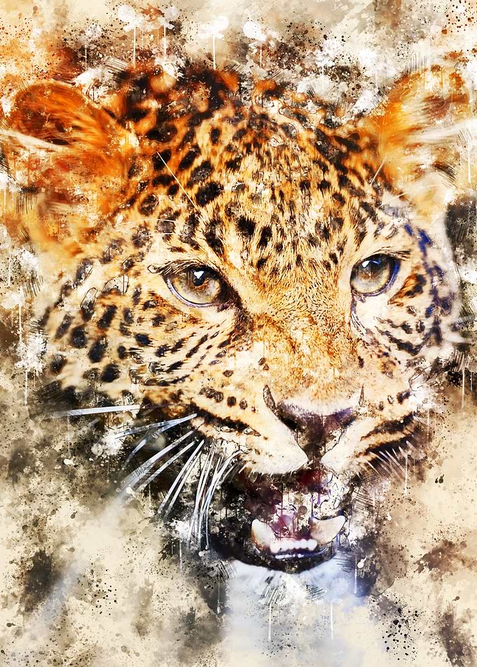 Leopard 2
