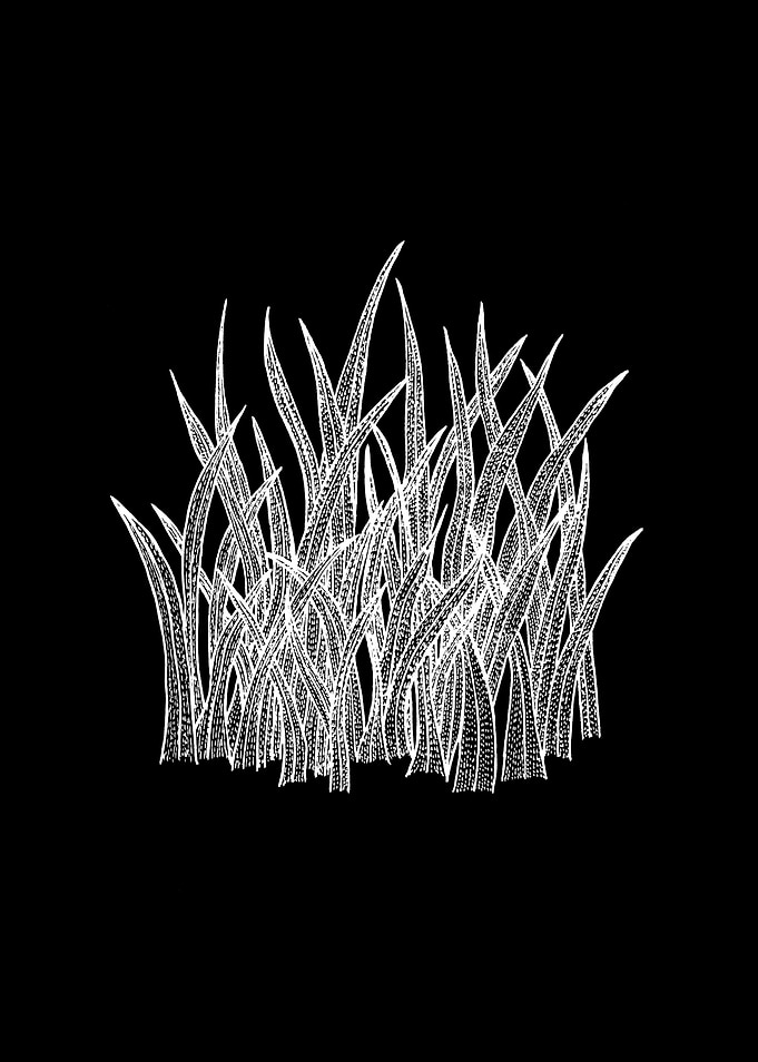 Grass Blades