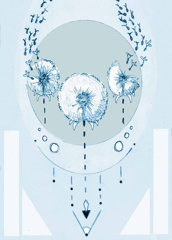 Blue Dandelion
