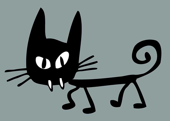 cat 01