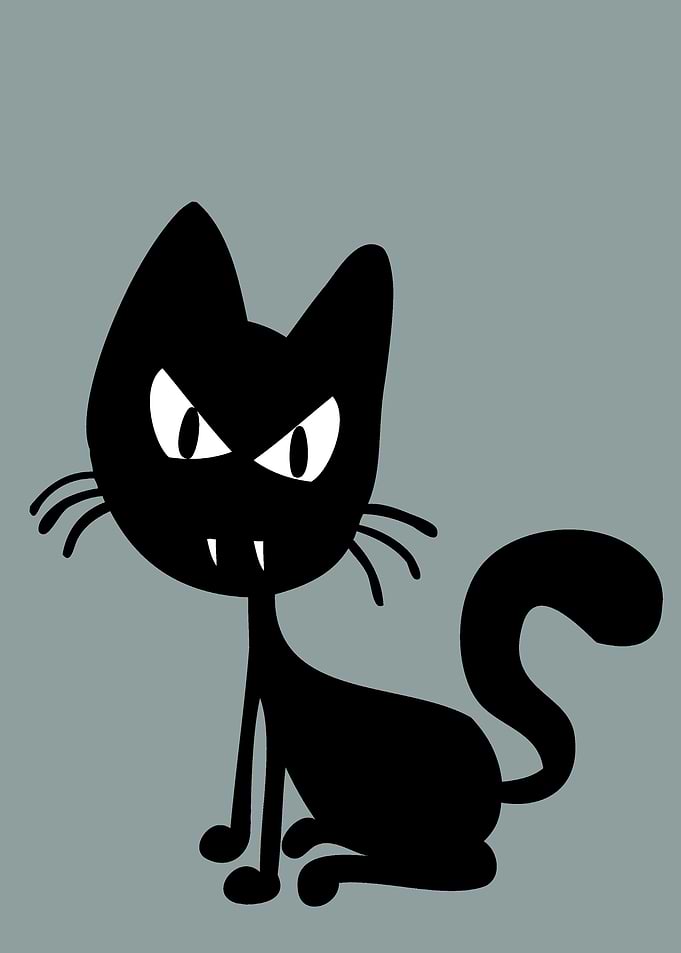 cat 03