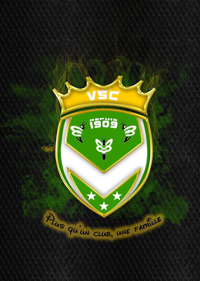 NEW LOGO VSC 2019