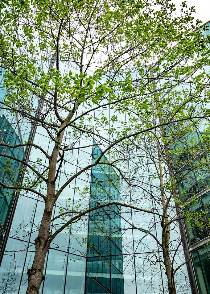 Glass Building