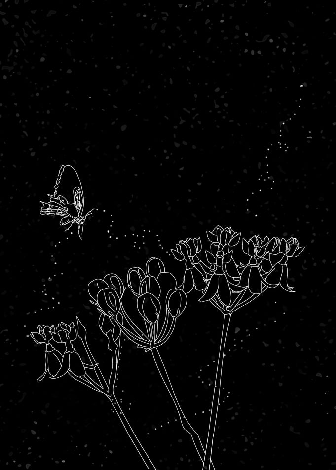 Night buds