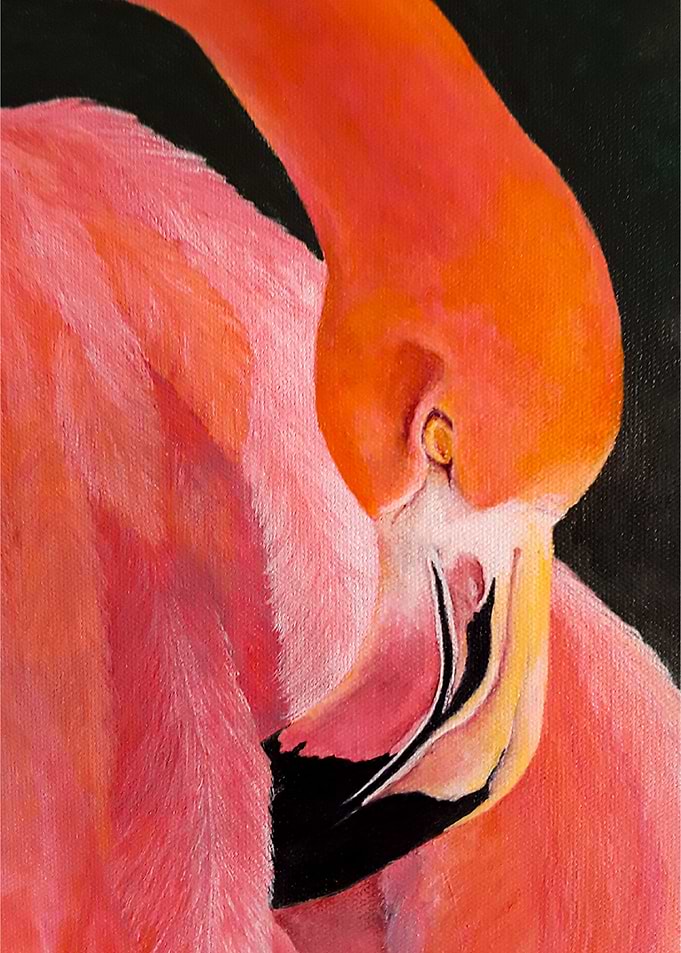 My Flamingo
