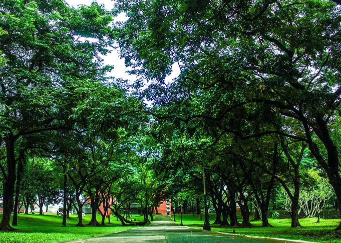 The Great Outdoor