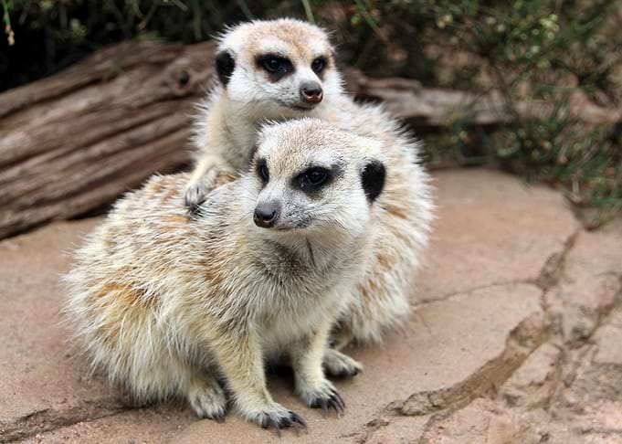 Cute Couple