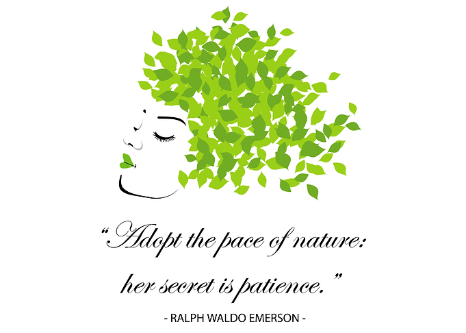 Quotes for nature