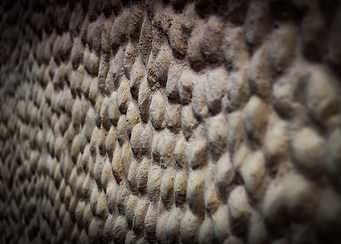 wall