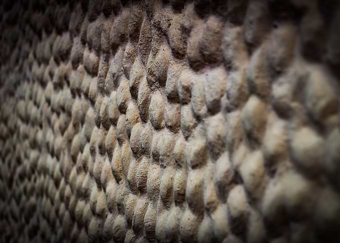 wall