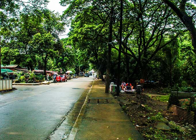 Post rain green