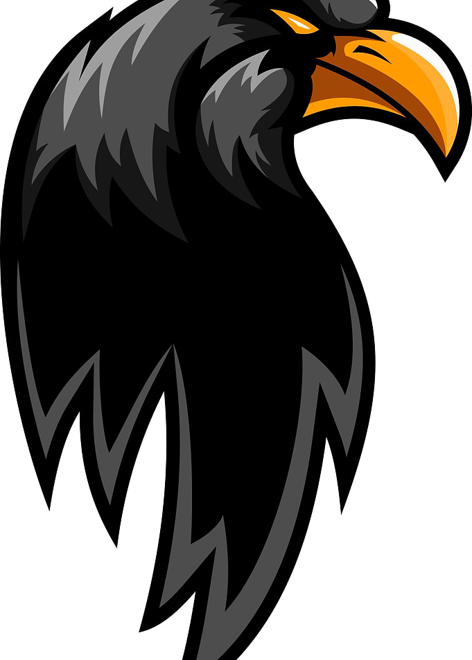 Eagle head