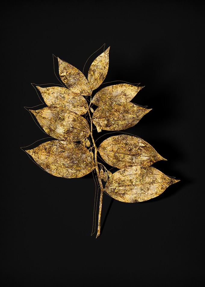 Gold Flora on Black