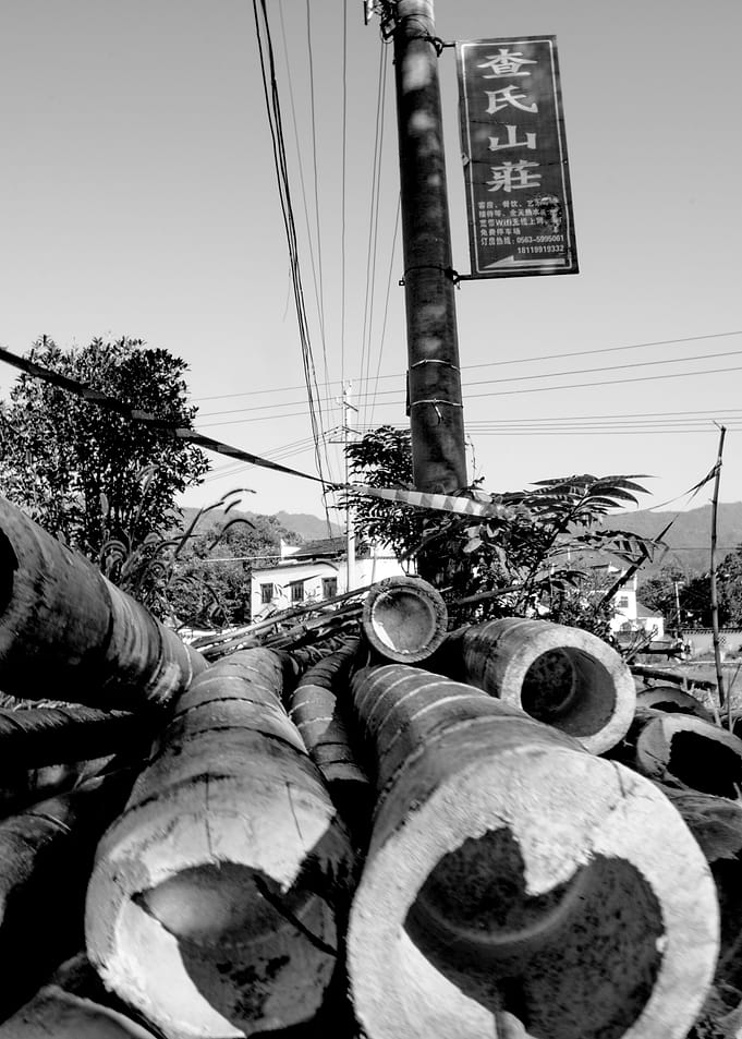 Bamboo pile