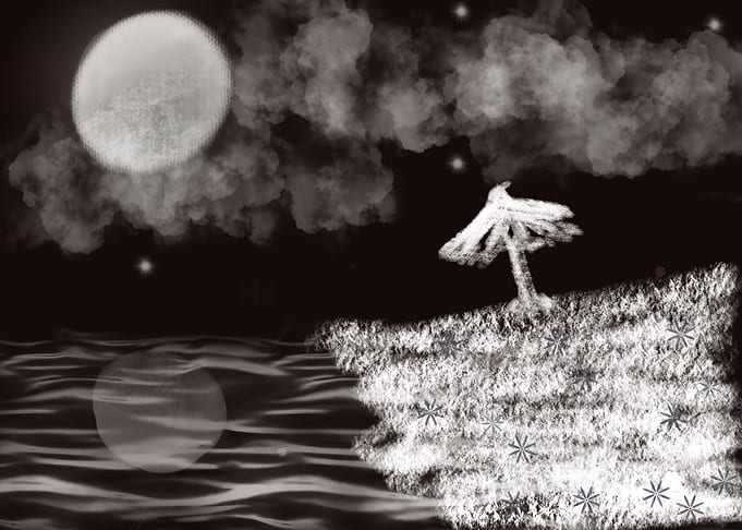 Moonlight