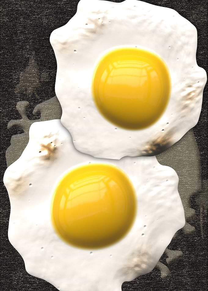 Fried Eggs