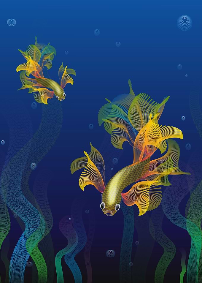 fighter fish with sea weed