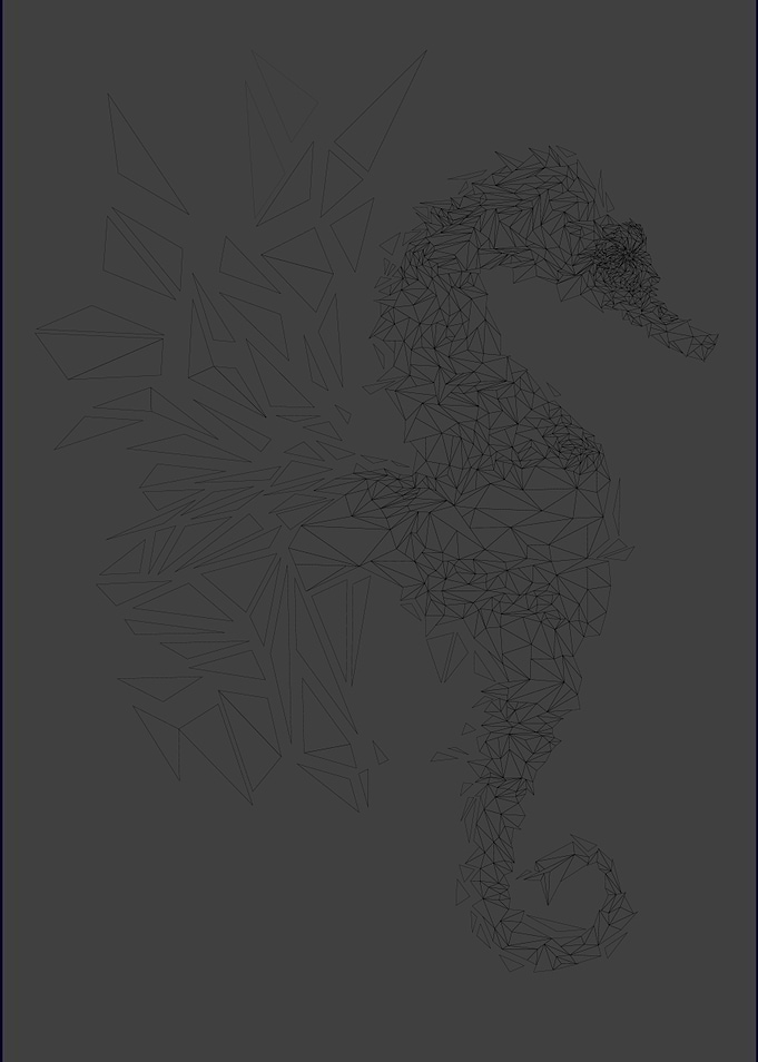 Seahorse b