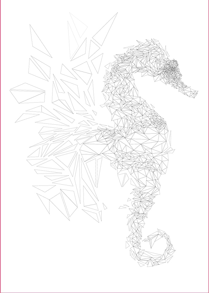 Seahorse w